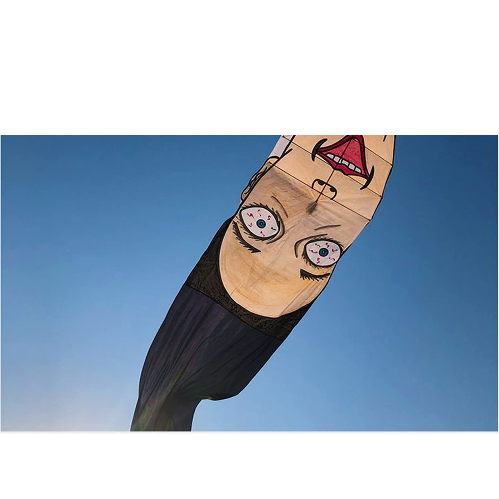 Amazon.co.jp: 8メートルの変な顔の凧、パーソナライズされた手描きの